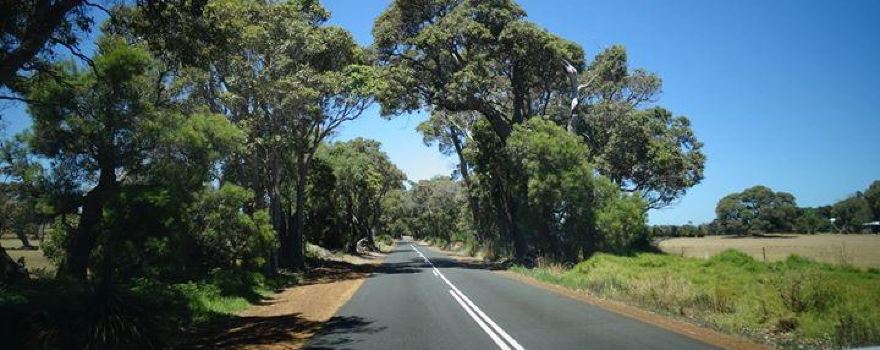 Caves Road