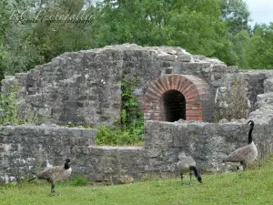 Naherholungsgebiet Wurmtal