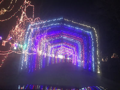 Jellystone Park™ St. Louis Eureka