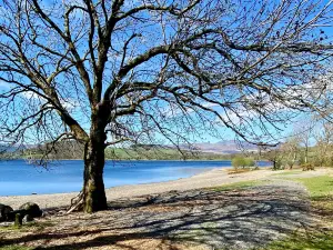 Llyn Tegid