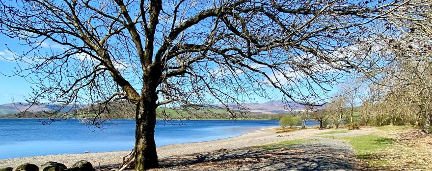 Llyn Tegid