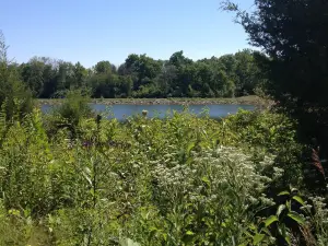 포섬 크릭 MetroPark