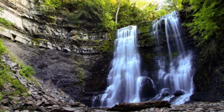 Plotter Kill Nature Preserve