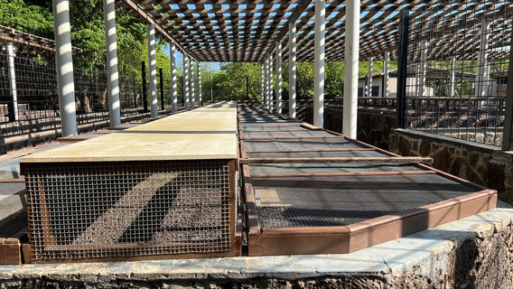 Centro de Crianza Arnaldo Tupiza