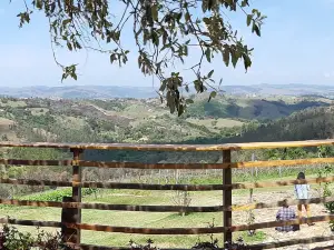 Vinicola Terrassos
