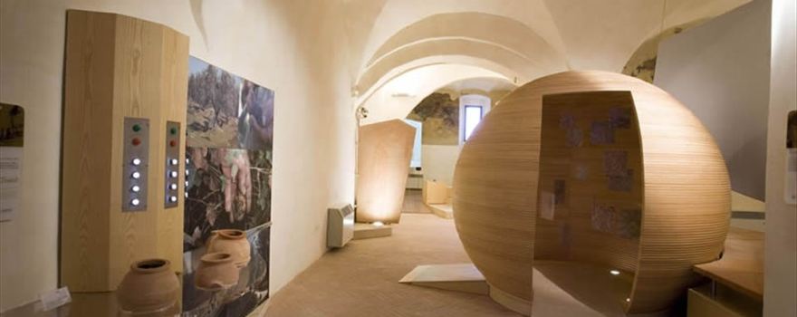 Museo del Tartufo