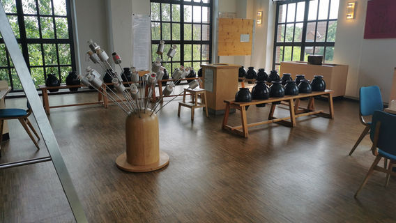 Phanomania Erfahrungsfeld