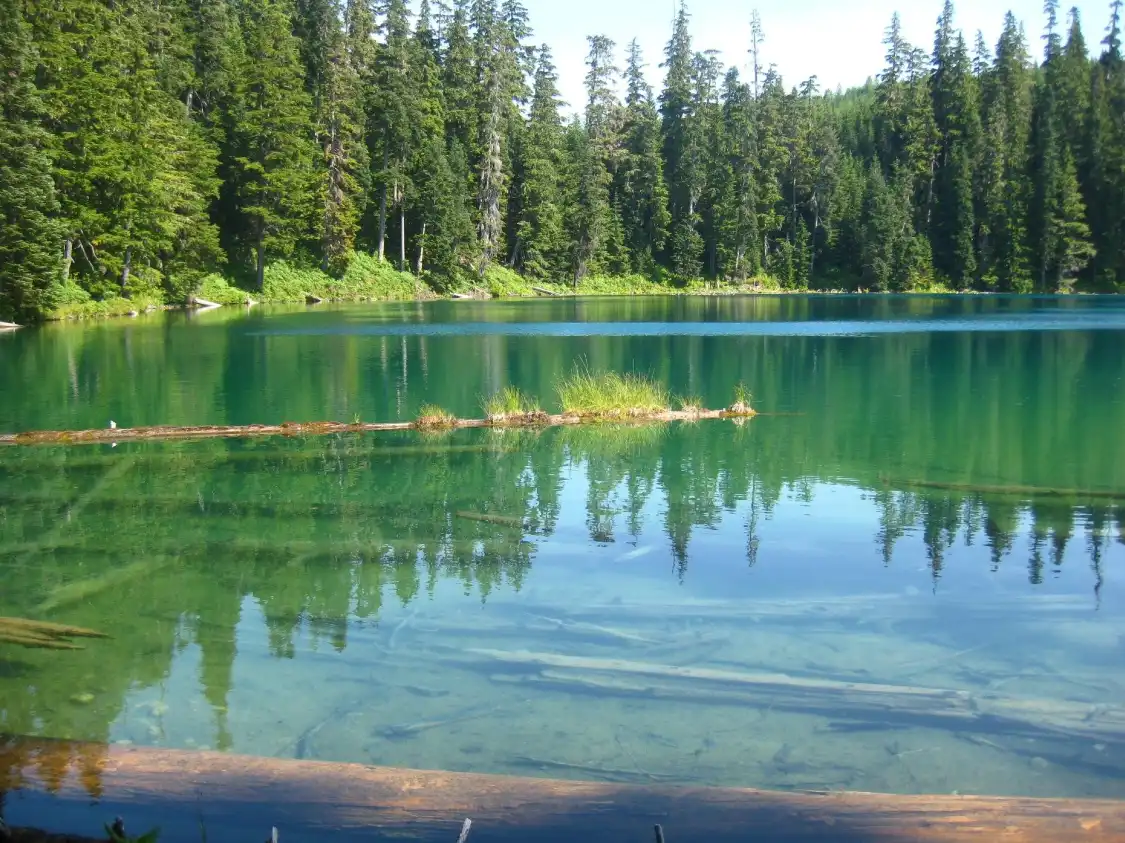 Hotels near Clearwater Lakes