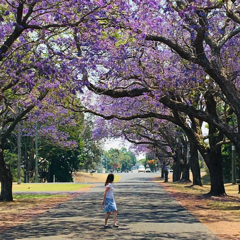 See Park