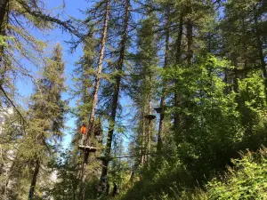 Forêt Sensations
