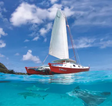 Voila Moorea