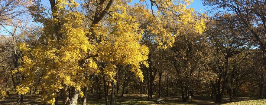 Bacon Creek Park