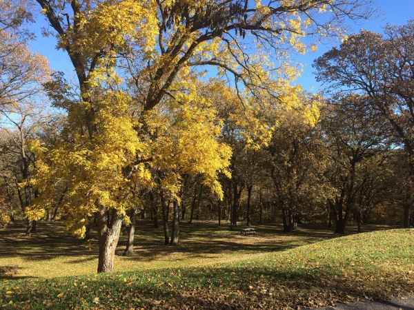Bacon Creek Park