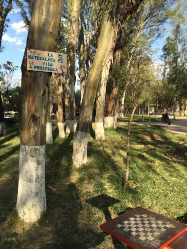 Tarija