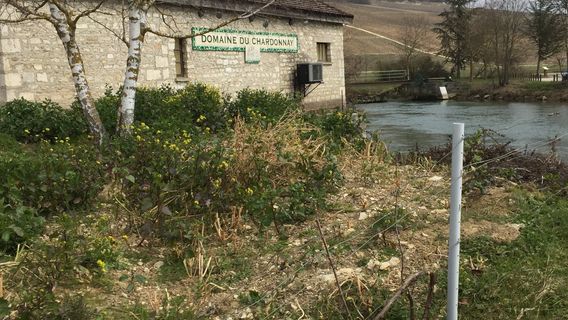 Domaine du Chardonnay