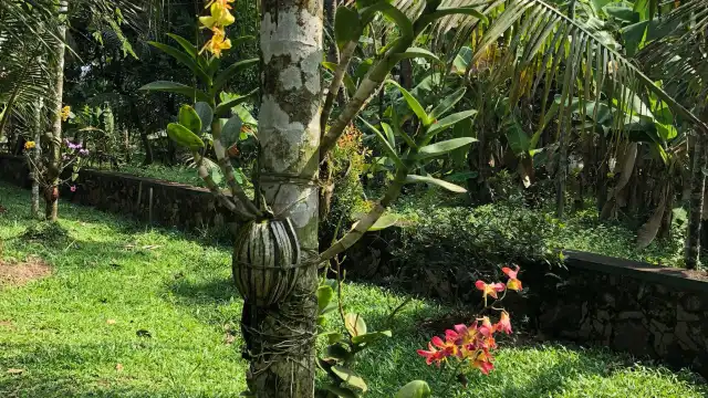 Hotels near VILLAGE CANOPY | Homestay and venue in kumbalangi