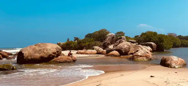 Arugam