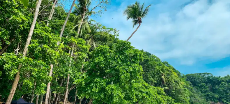 エラドゥラのホテル