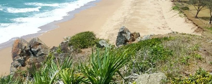 Slade Point