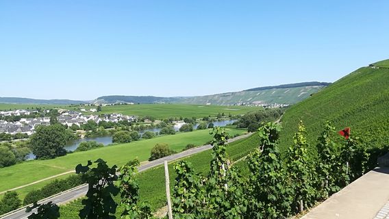 Trittenheim