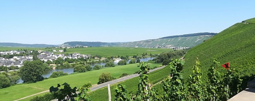 Trittenheim