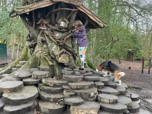 Erica's Fairy Forest