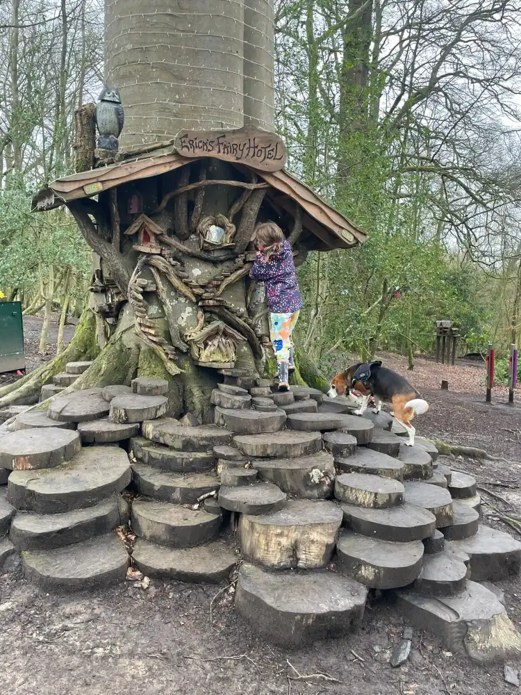 뮤니시펄 디스트릿 오브 베일리보로-쿠트힐