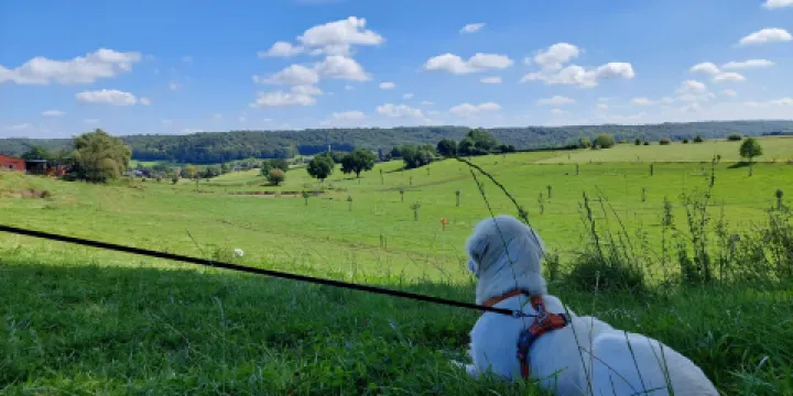 Green Valley Boerengolf