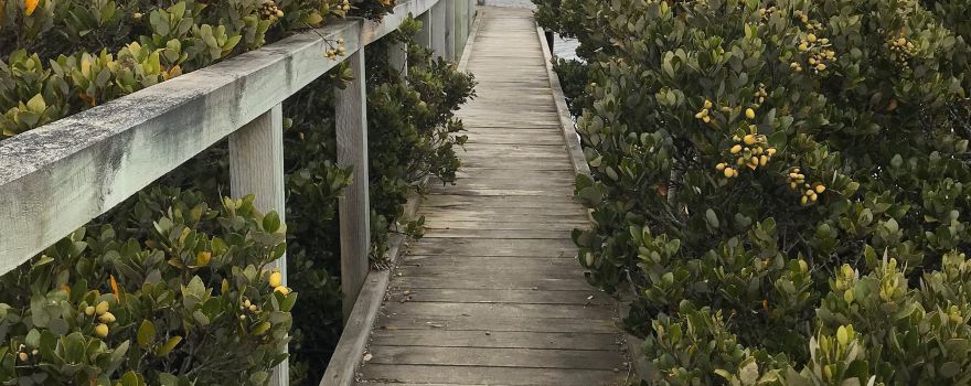 Port Franklin Boardwalk