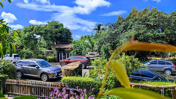 Ako Dhong Rhade Village