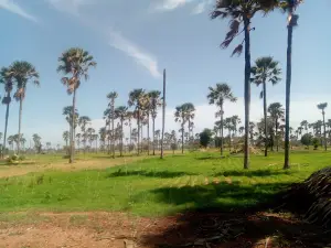 Centre d'interprétation du Delta du Saloum de Toubacouta