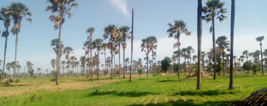 Centre d'interprétation du Delta du Saloum de Toubacouta