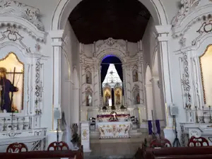 Baobá
