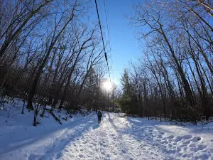 Overlook Mountain Trailhead