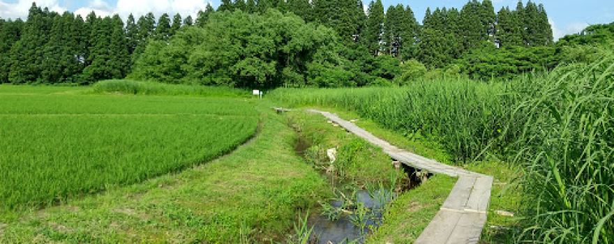 Nishinomaeiseki Park