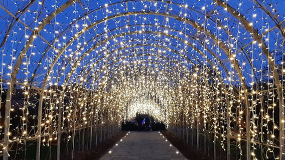 Wisley