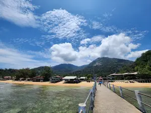 Udive Tioman
