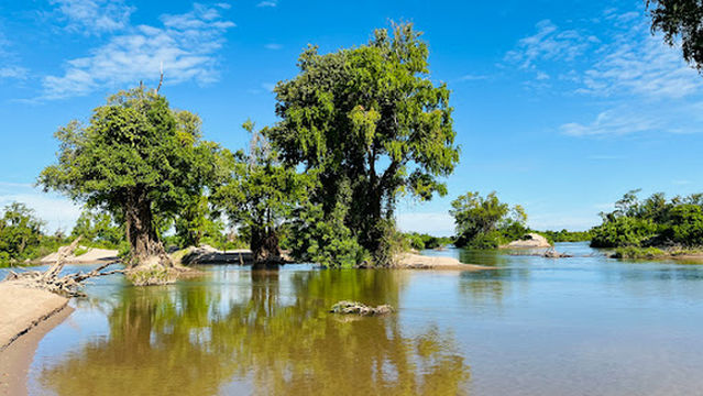 Dolphin Kayaking Adventures