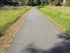 The Trace