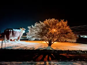 Albert the Bull Park: World's Largest Bull