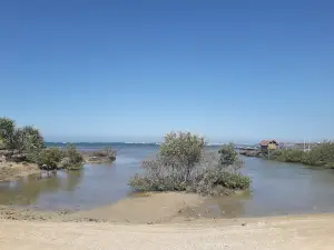 Pantai Muara Sawah Kabayan