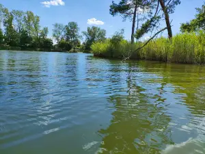 Autokemp Rudava