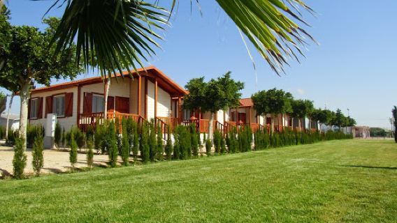 CAMPING LO MONTE
