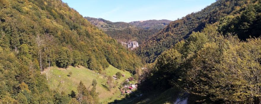 Valea Izvorului