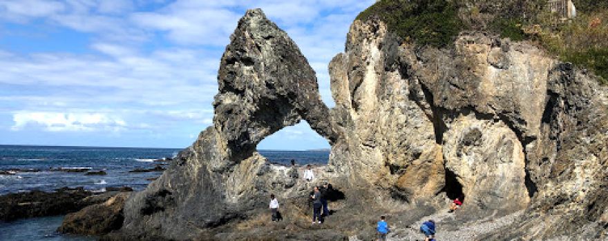 Wagonga Head