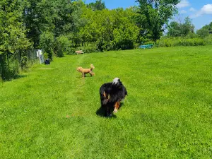 Tucker James Memorial Dog Park