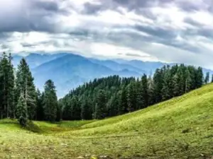 Palanchai Meadows