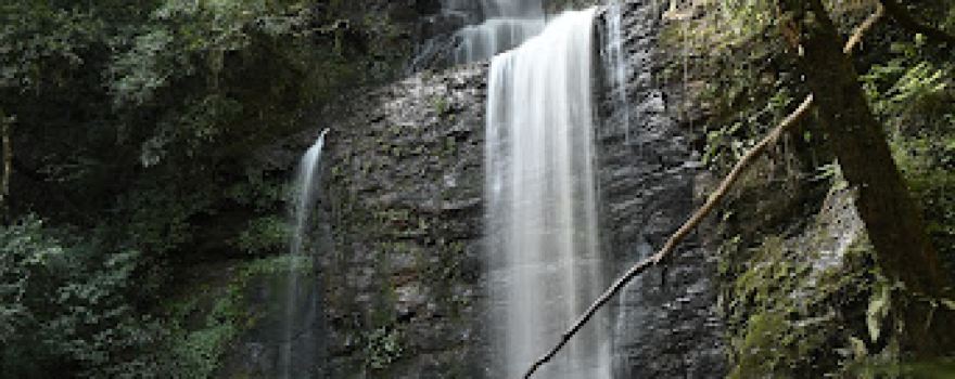 Salto do Toni