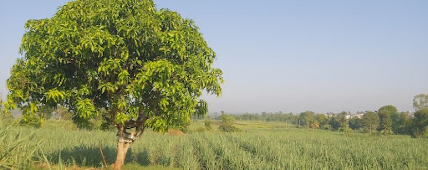 Shri Vasant S.Patil majgaonkar