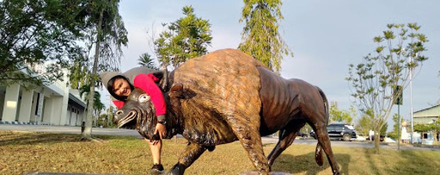 Krakatau Soccer Field PHR Duri